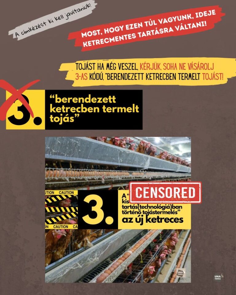 Az Una Terra kifogása nyomán kötelezővé vált a ketreces tojások valós megnevezése