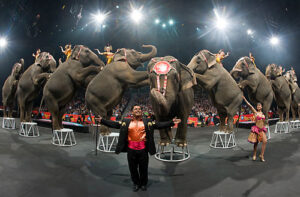 ringling-brothers-circus