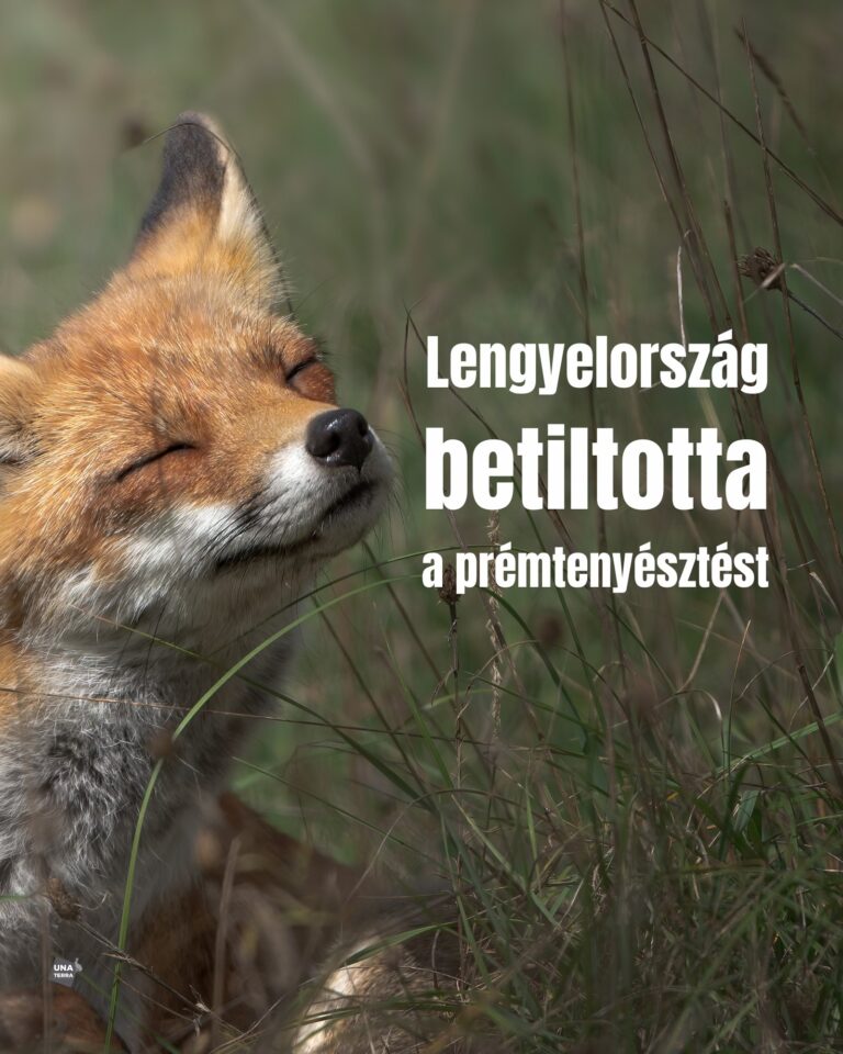 Lengyelország betiltotta a prémtenyésztést!