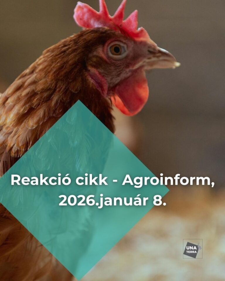 Reakció az Agroinform 2026. január 8-án megjelent cikkére a ketrecmentes tojásról