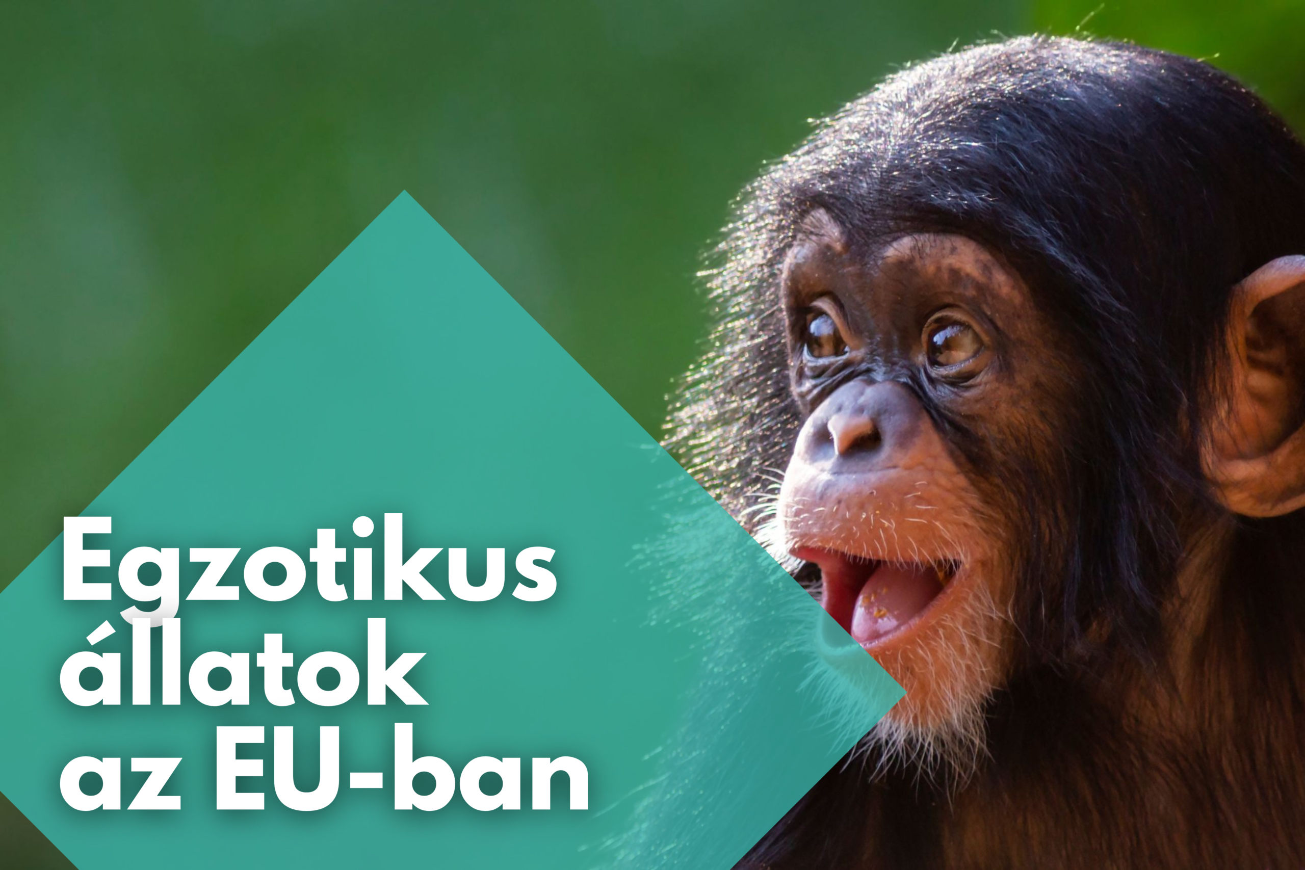 Egzotikus állatok az EU-ban